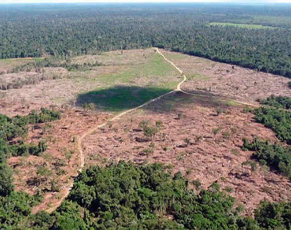 Amazônia em perigo! Noruega corta repasse de 133 milhões de reais