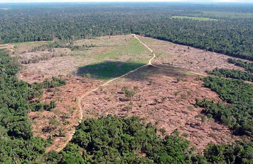 Amazônia em perigo! Noruega corta repasse de 133 milhões de reais