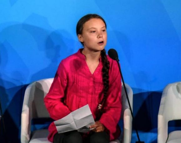 Em seu discurso na Cúpula do Clima da ONU, a sueca Greta Thunberg, de 16 anos, disse: "Pessoas estão sofrendo, pessoas estão morrendo, ecossistemas inteiros estão entrando em colapso"