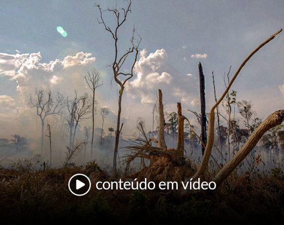 O desmonte da política ambiental está custando a existência da floresta e de seus povos.