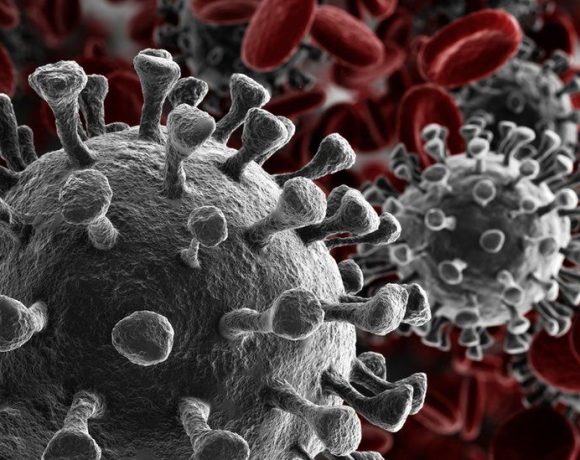 A ciência, as crenças e a pandemia do coronavírus